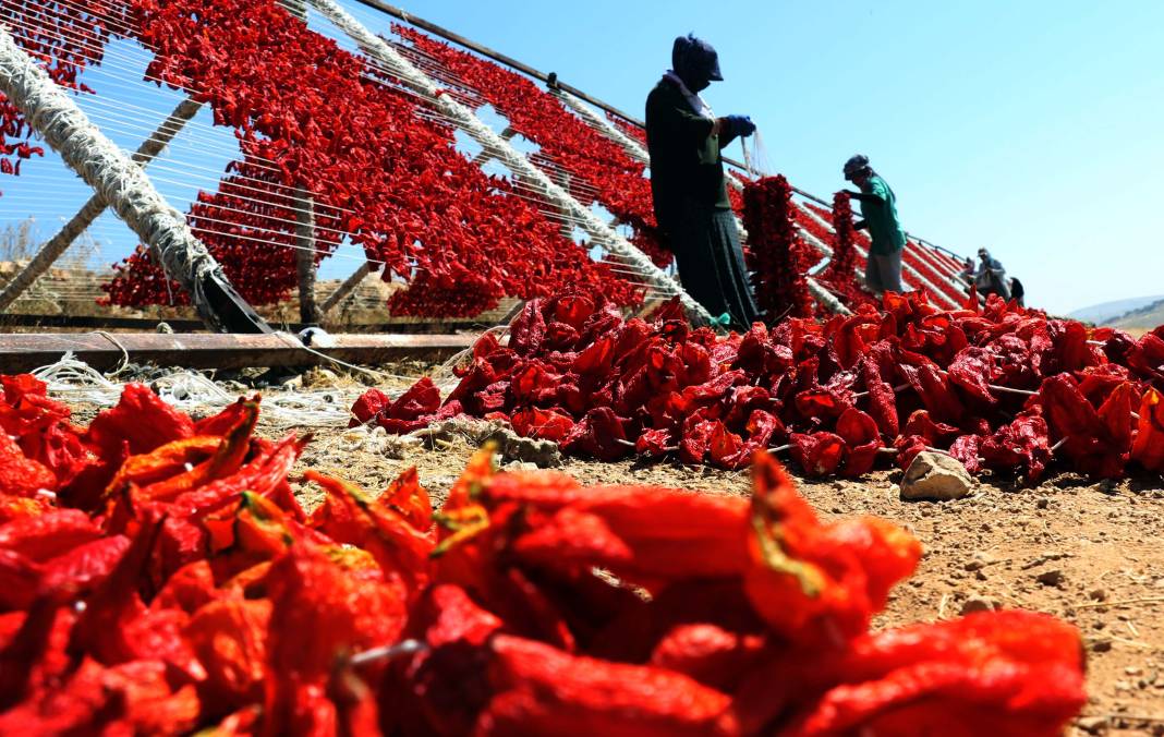 Gaziantepli üretiyor güneş pişiriyor! Dünyanın da dört bir yanına gidiyor 2